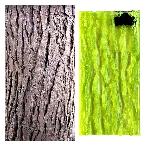 Polyurethane Mat Stamp PINE BARK | Concrete Cement Stamping Texture Imprint Tree