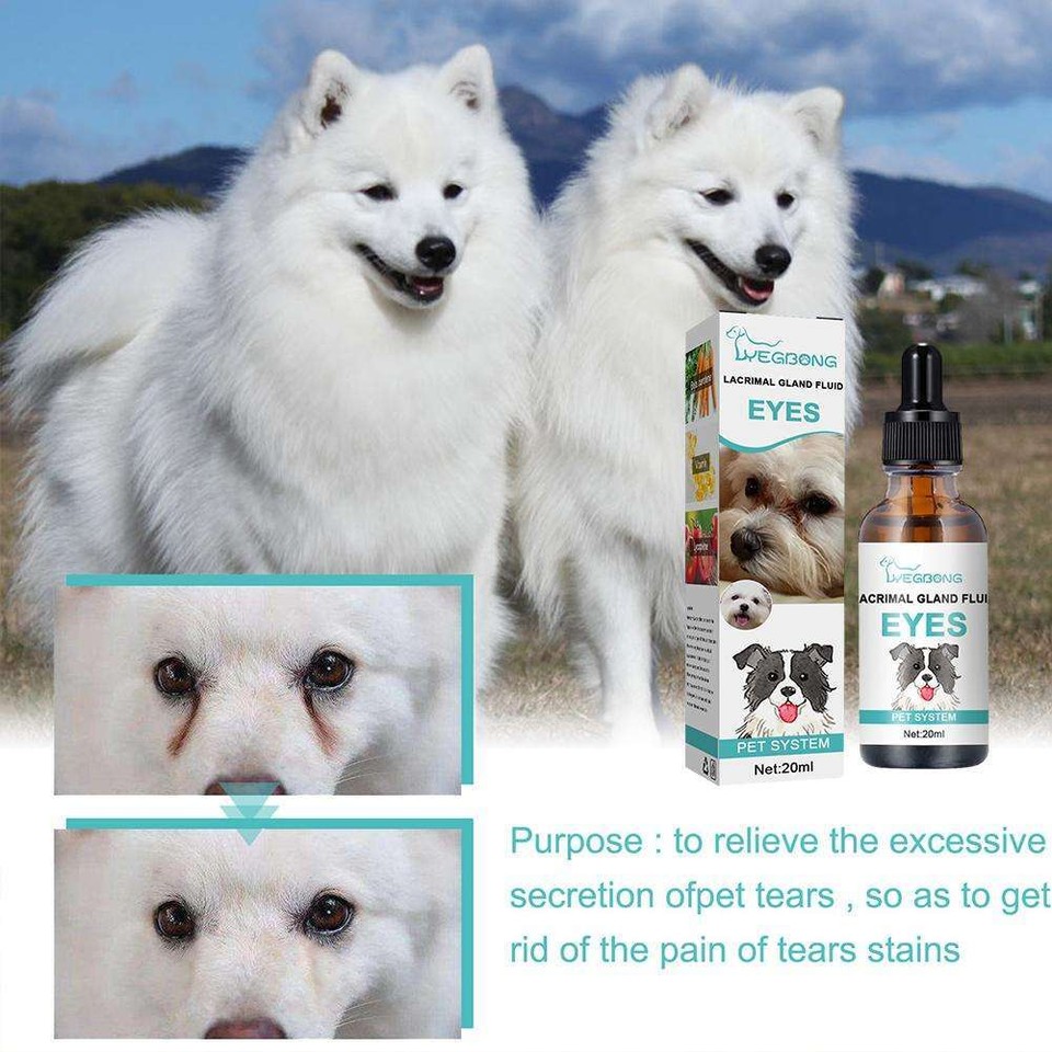 Pet Eye Drops 20ml Cataract Drops For Pet Eye Lubricant Drop Lanosterol