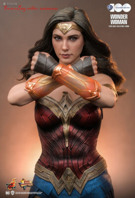 Perfect Hot Toys Mms 698 Warner'S 100th Anniversary Wonder Woman