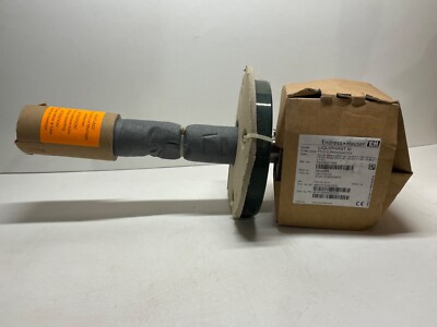 Endress + Hauser Liquiphant M FTL51C-RAEKCK4E5CA