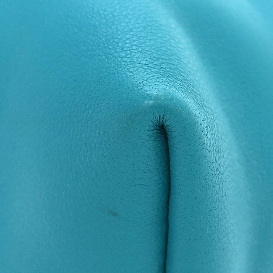 Borsa a tracolla LOEWE BORSA FLAMENCO media in pelle di melone palam borsa a mano autentica