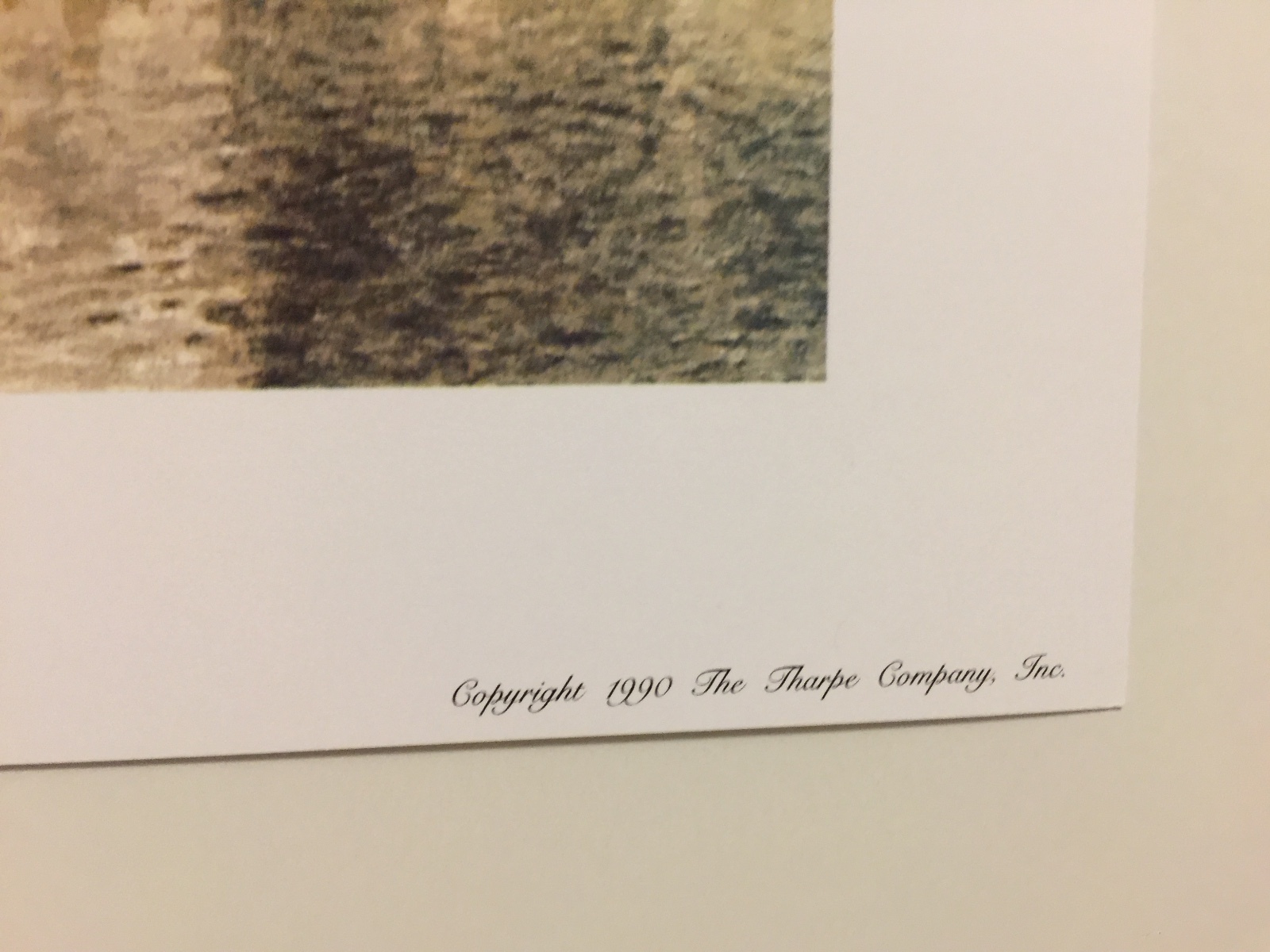 Picture 8 of 10