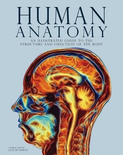 Human Anatomy by Jane de Burgh - 9781838864880