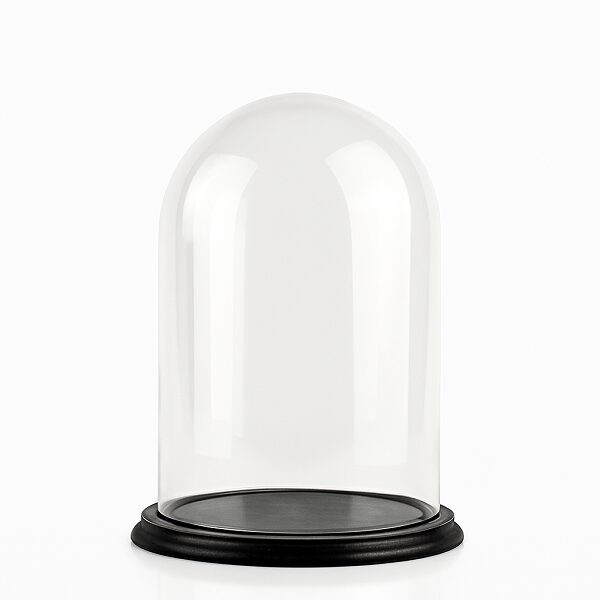 Clear Circular Glass Dome With Black Vintage Wooden Base H:30x20 cm