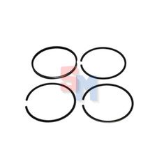 SERIE SEGMENTI MOTORE RUGGERINI RD270 DIAMETRO 95mm RIF. ORIG. 2495