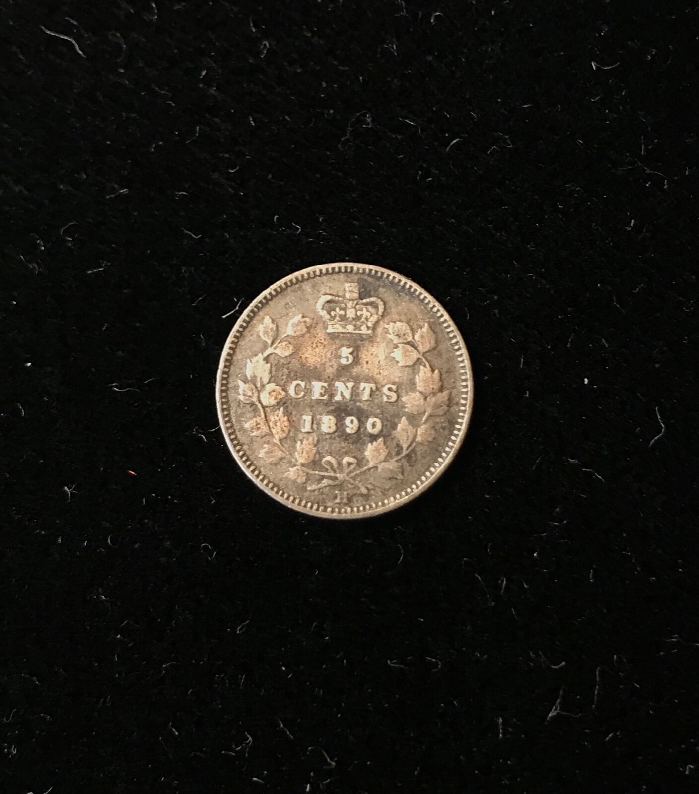 Picture 2 of 2
