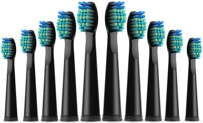 5/10x Toothbrush Heads Compatible For Seago SG-507/508/D8/515/551/917/959/958/E9