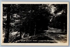 Pine Grove Park Oscoda And Ausable Michigan MI RPPC Photo Antique Postcard
