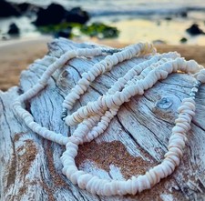 Hawaiian Store Small Puka Shell Choker Necklace Choose Length 