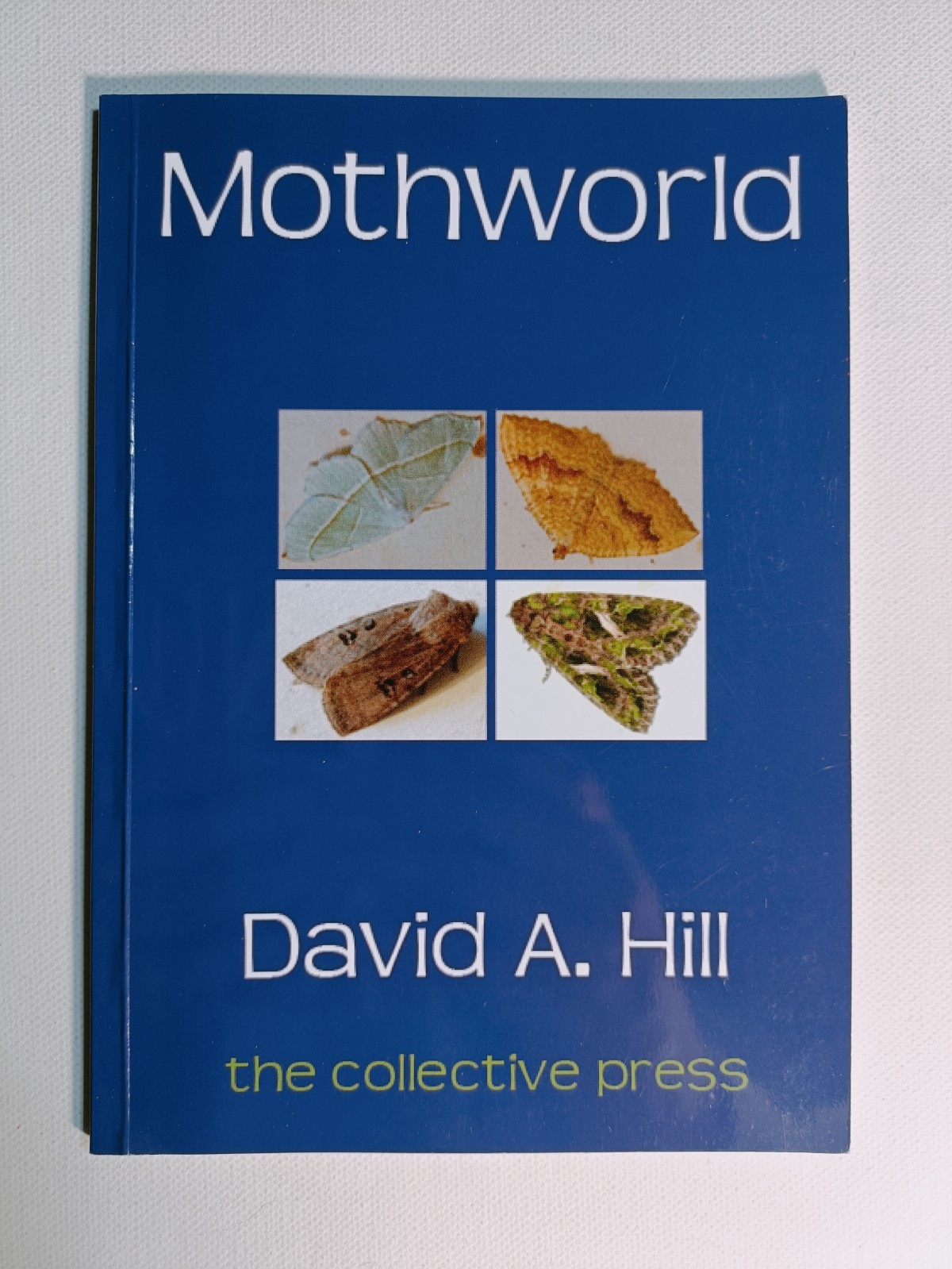 Mothworld by David A. Hill 2010 SIGNED paperback poetry The Collective