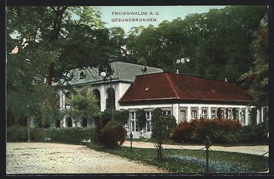 Ansichtskarte Freienwalde A. O., Gesundbrunnen und Anlage 1910 