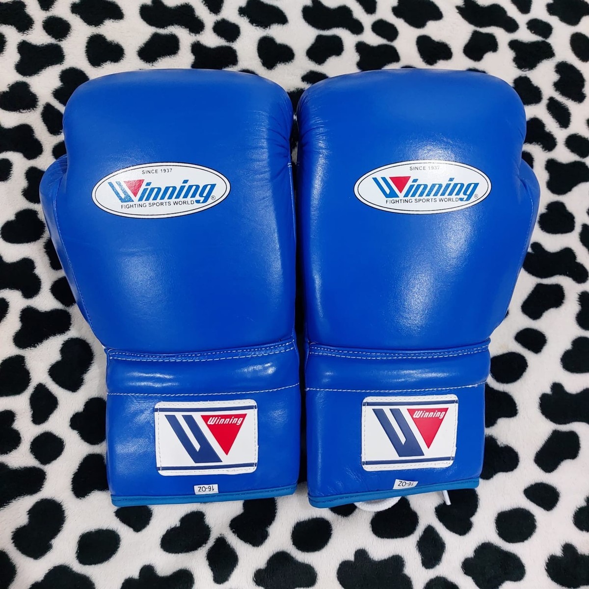 Winning boxing gloves lace up pro sparring gloves fight training