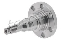 Achszapfen AchskÖRper Hinten Links Rechts Topran 103 511 FÜR Audi Seat VW
