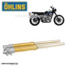 TRIUMPH Scrambler 2007-2016 forcella oro OHLINS FG 620 43 retrò