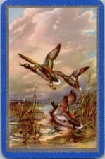 Ducks. Swap Playing Card Named Morning on the Marsh.