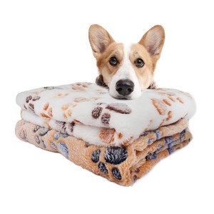 dollar general dog bed