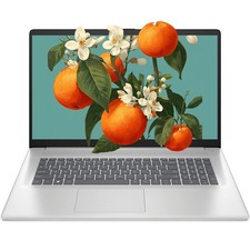 HP 17.3" Laptop computer 2.7 GHz 4.3 GHz AMD Ryzen 5-7430U 16GB RAM 1TB SSD