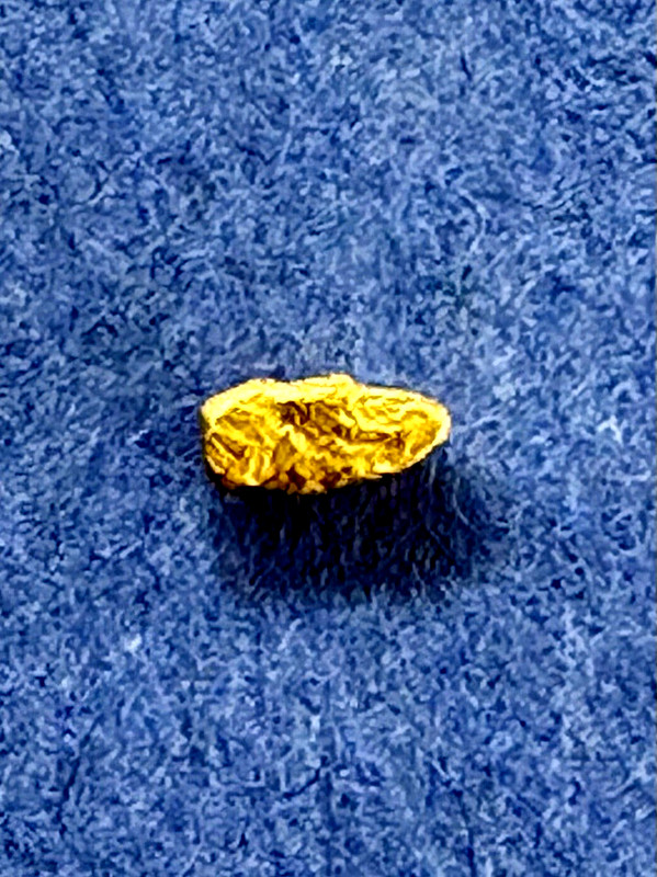 0.369 Gram Yukon Territory Natural Gold nugget… Beautiful Solid Piece Of Gold
