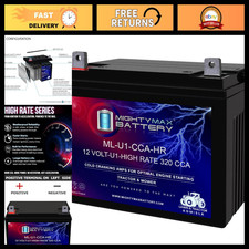 12V 320 CCA Rechargeable AGM Battery - Nut Bolt Terminal, High Rate Series