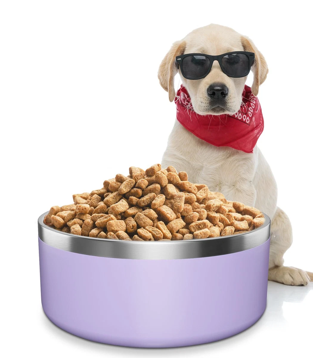 Cute dog bowls hotsell for small dogs