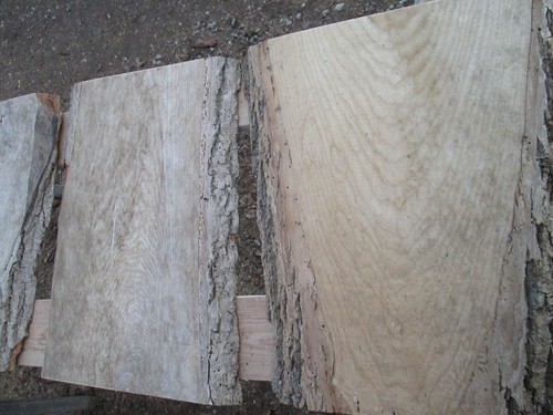 6 St. Eschenholz, Eschenholzbohlen, Kernesche,Drechselholz,Basteln,50 cm x 30 mm - Bild 7 von 12