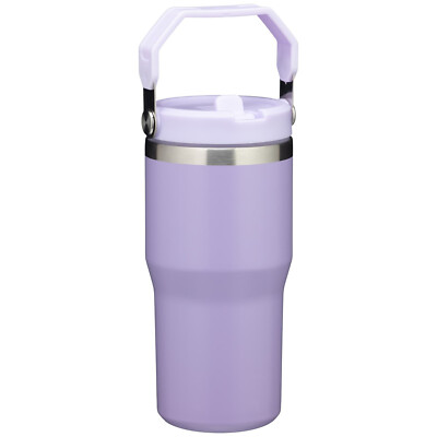 Hydrate Doppelwandiger Trinkbecher mit Flip Strohhalm & Griff 550ml - Flieder