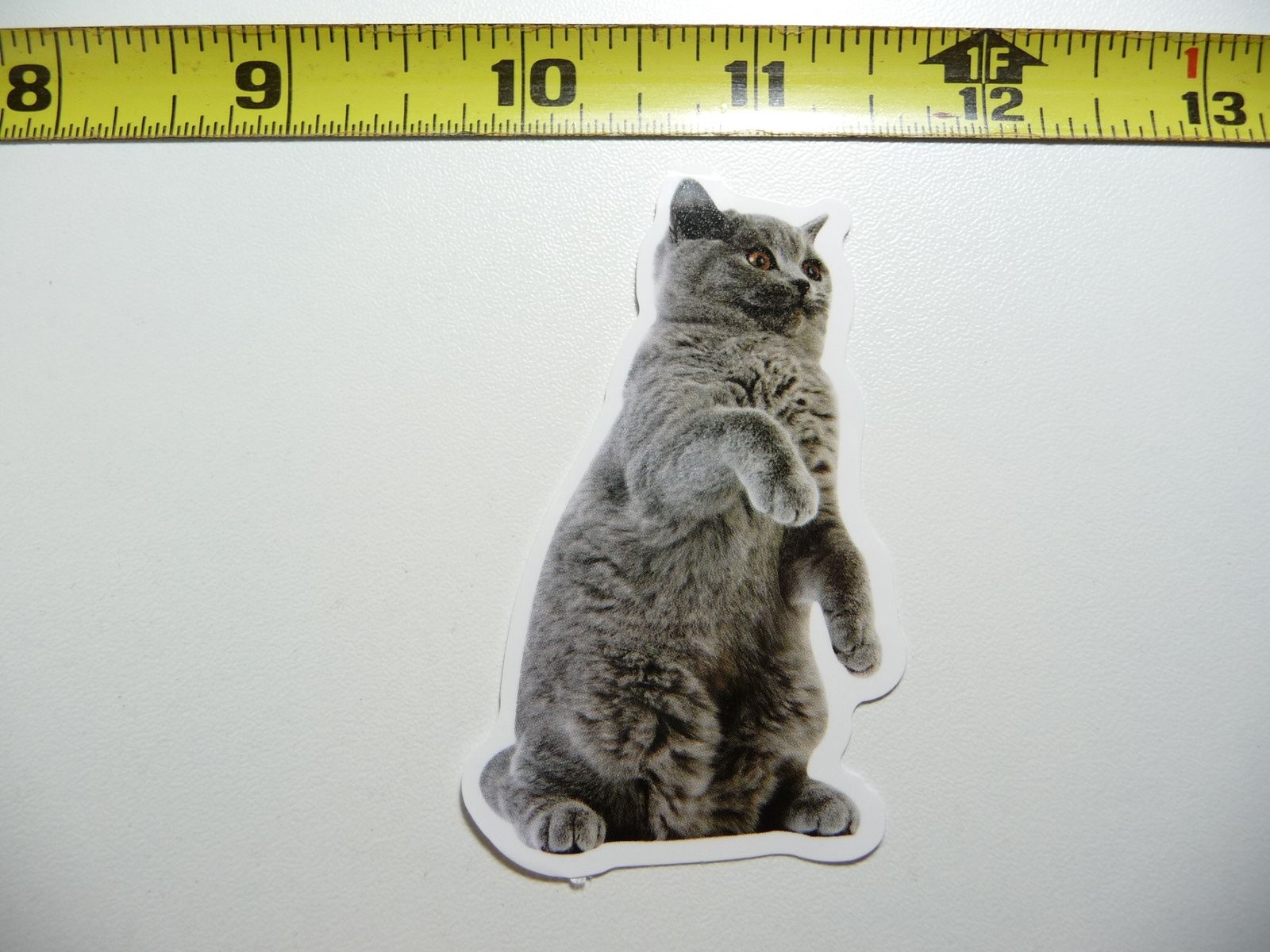 GIVE ME FIVE CAT DECAL STICKER FELINE PET HOUSE KITTEN