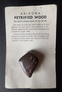  petrified wood polished souvenir Arizona vintage
