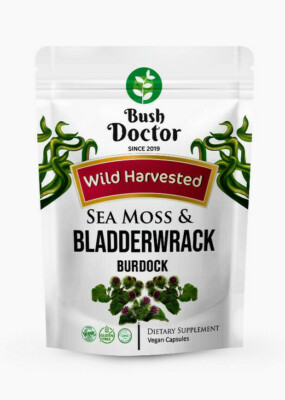 Wild Harvested Sea Moos & Blasenwrack + Klette 200 vegane Kapseln DR SEBI