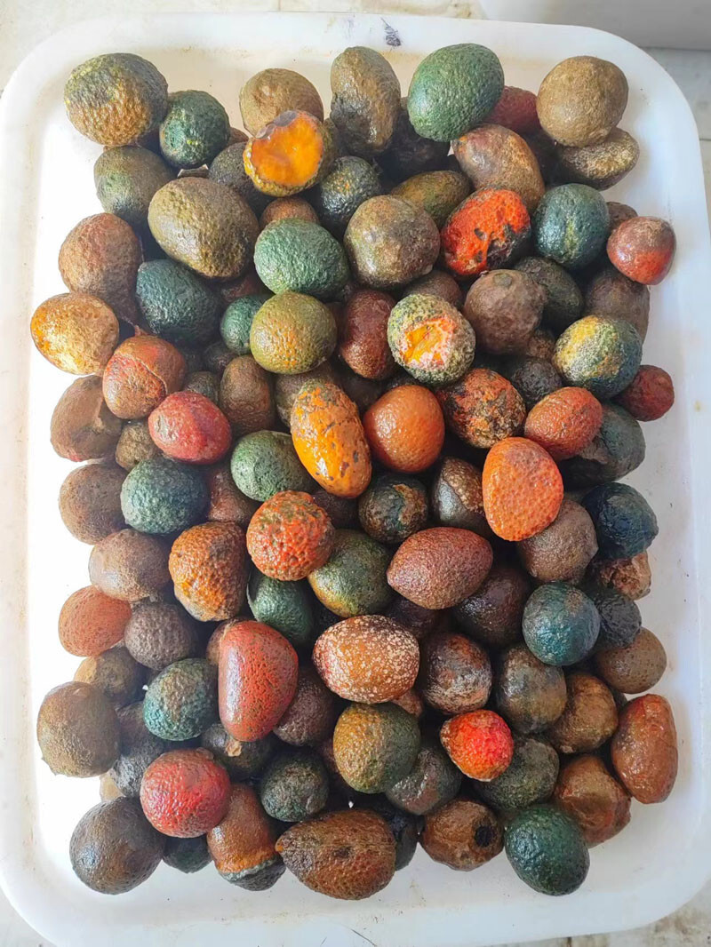 Rare China Natural Warring States Red Rough Agate Geode Quartz Crystal 1KG