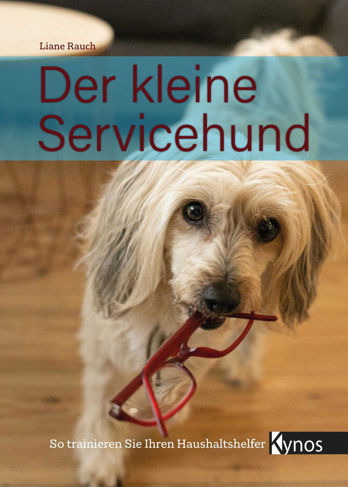 Thumbnail - Der Kleine Servicehund | So Trainieren Sie Ihren Haushaltshelfer |