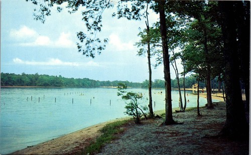 Vintage Postkarte Falle Teich State Park Strand Lorbeer Delaware DE Sussex County