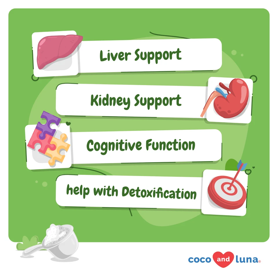 Cardo mariano para gatos - Apoyo hepático gatos, desintoxicación, apoyo hepático y renal Foto 2 de 4