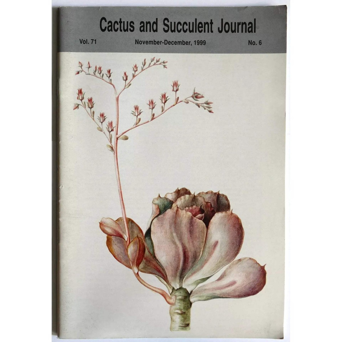 Cactus and Succulent Journal No.6 vol. 71 November-December, 1999 - | eBay