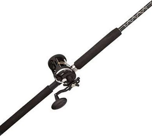 Saltwater Fishing Rod & Reel Combos for sale - eBay