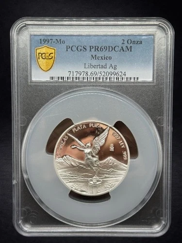 Photo of a Mexican Silver Libertad 2 oz coin from an eBay sale