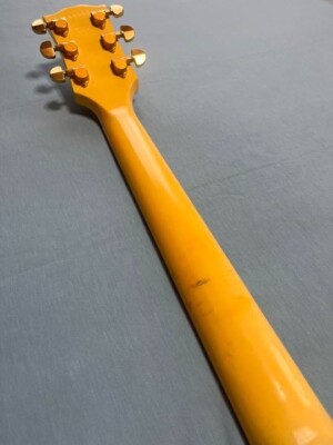 Gibson USA Les Paul Custom AW Mod | eBay