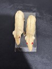 Foto 7 di 10