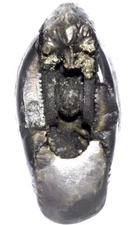 Sacred Adwaitya Golden Kamal Laxmi Narasimha Kalpavriksha Shaligram - Nepal
