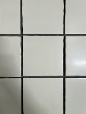 Off-White Matte Wall Tile 5 7/8'' x 5 7/8'' Border 10 SQFT Remodel 313-654
