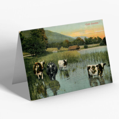 GRUSSKARTE - Vintage Schottland - ''Calm Eventide''