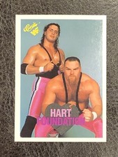1990 Classic WWF Hart Foundation Jim Neidhart Bret Hitman Hart #38 NM-MT WWE HOF