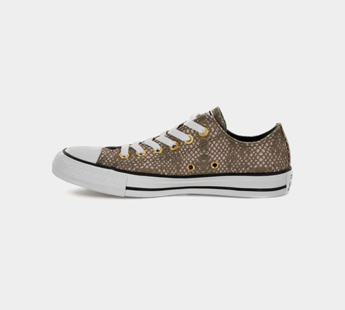 Converse CTAS 557974C Scarpe da ginnastica stampa squalo verde/bianco donna regno unito 3-8 - Foto 2 di 4