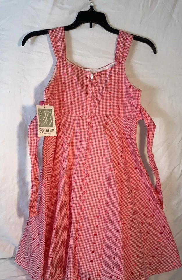 NUEVO Vestido Bonnie Jean Niñas Sweetheart "CORAL OJAL GINGHAM CHECK" Satén Lazo Foto 2 de 4