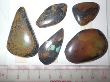 Turquoise Stone Flat Free Form Cabochon 207 Carat 5 pieces 41.4 gram Lot A