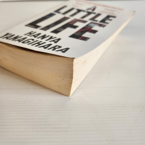 Libro de bolsillo grande A Little Life de Hanya Yanagihara - Imagen 10 de 11