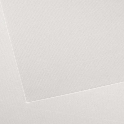 Canson Ingres Drawing Paper Sheets 19X25-White, 25 Sheets