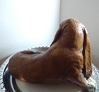 Bild 4 von 8