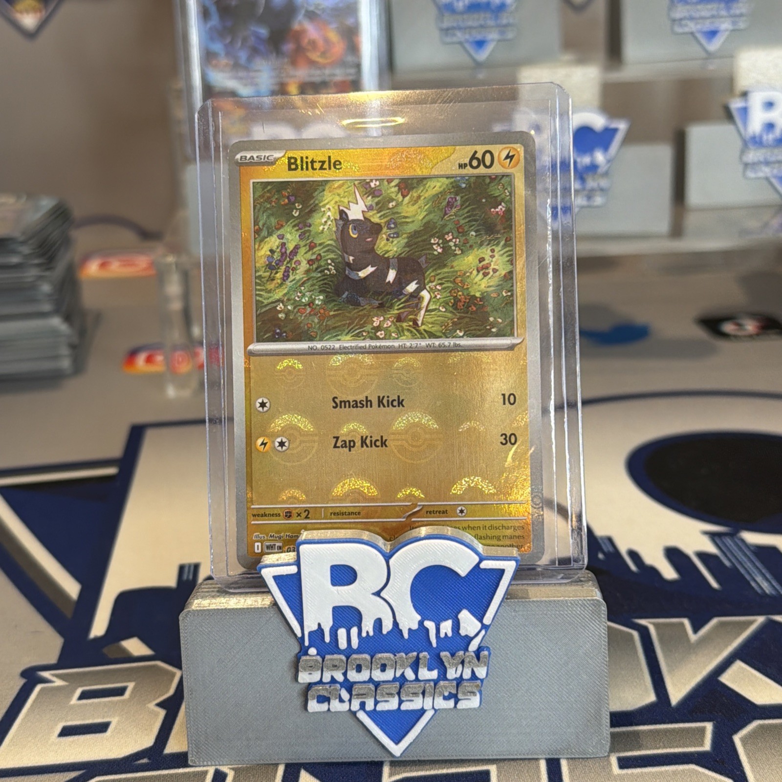 Pokémon White Flare Blitzle 031/086 (Pokeball Pattern) Holo NM