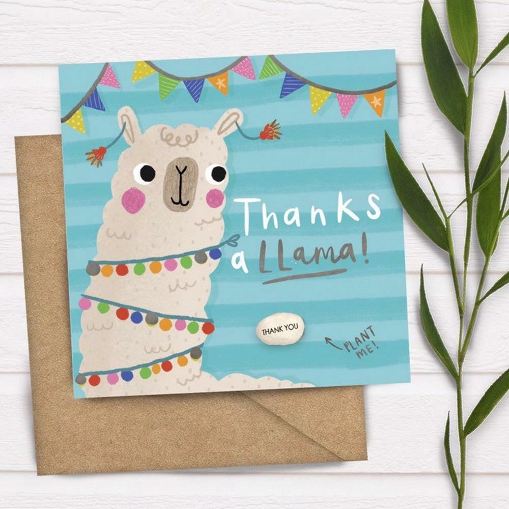 Thanks A Llama Magic Bean Blank Greeting Card Thank You Friend House Plant Gift
